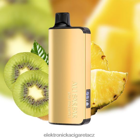 Alibarbar Ingot 20 000 jednorázových vaků kiwi ananas L8P84D38 - Elektronická Cigareta Venix