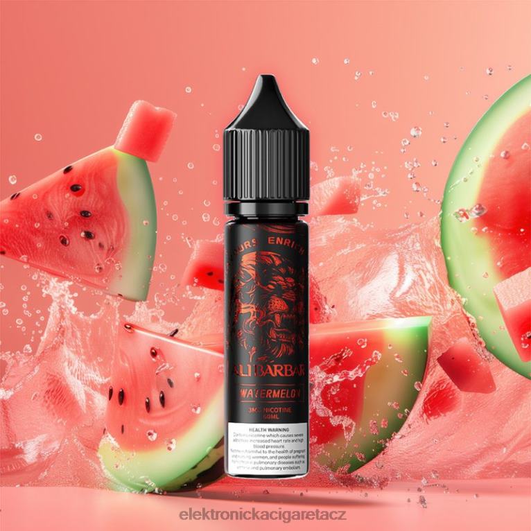 Alibarbar dok pro vodní dýmku onyx vodní meloun X0J08110 - Elektronická Cigareta Na Liquid
