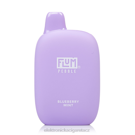 FLUM PEBBLES 6000 šluků borůvková máta R42623 - Elektronická Cigareta Vape