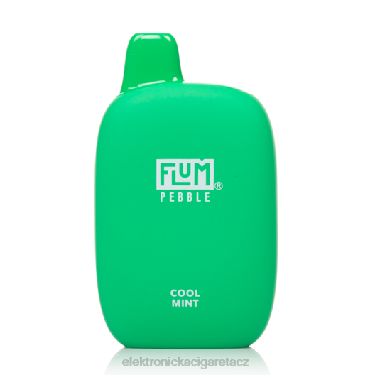 FLUM PEBBLES 6000 šluků chladná máta R42626 - Elektronická Cigareta Doplnovaci