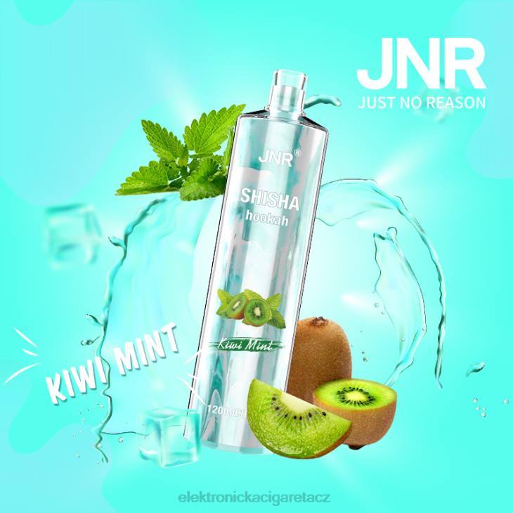 kiwi máta