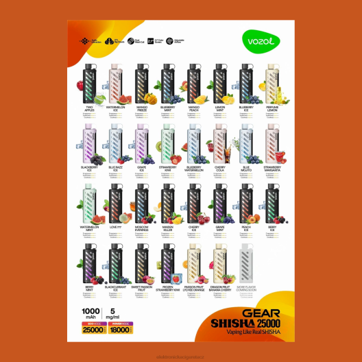 VOZOL převodovka shisha 25000 multi R4261 - Elektronická Cigareta Bez Nikotinu